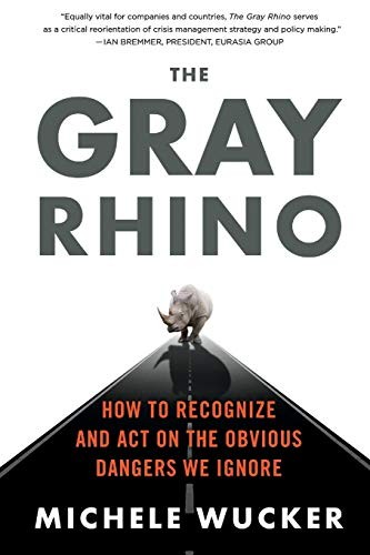Cover for THE GRAY RHINO