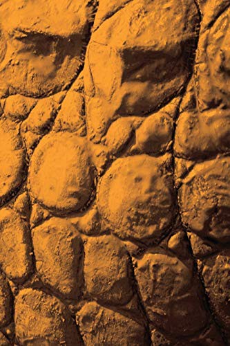 Cover for Alive! crocodile skin - Sepia - Photo Art Notebooks