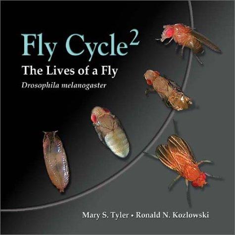 Cover for Flycycle 2