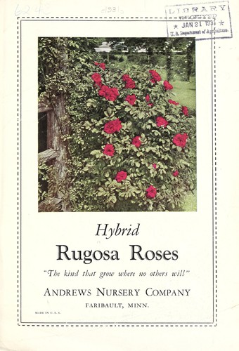 Cover for Hybrid Rugosa roses