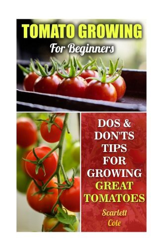Cover for Tomato Growing For Beginners