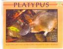 Cover for Platypus (Mondo Animals)