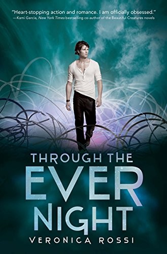 Cover for Through the Ever Night