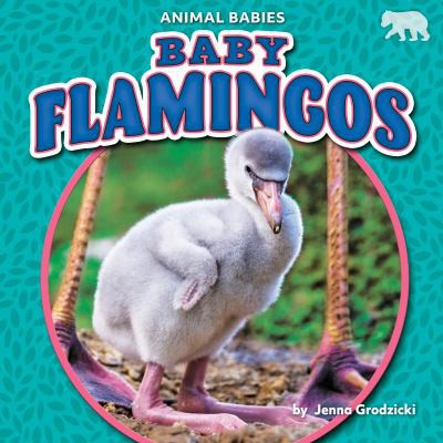 Cover for Baby Flamingos