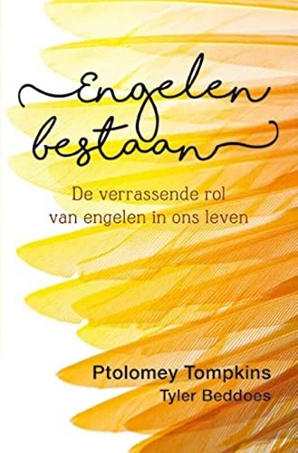 Cover for Engelen bestaan