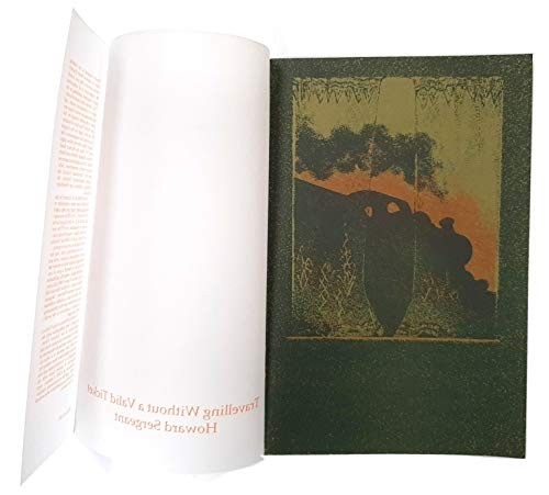 Cover for Travelling Without a Valid Ticket (Rivelin Press Second Series)