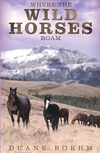 Cover for Where The Wild Horses Roam