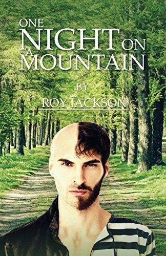 Cover for One Night On A Mountain