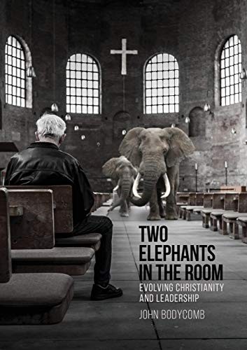 Cover for Two Elephants in the Room