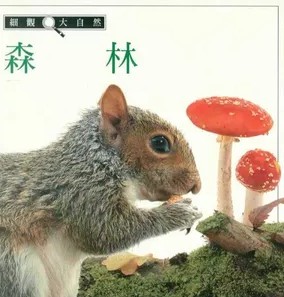 Cover for Sen lin