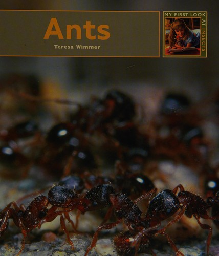 Cover for Ants