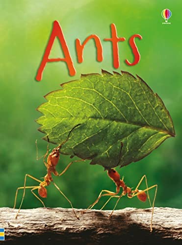 Cover for Ants IR