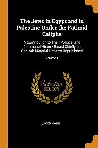 Cover for The Jews in Egypt and in Palestine Under the Fatimid Caliphs