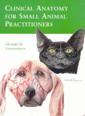 Cover for Clinical Anatomy for Small Animal Practitioners