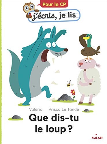 Cover for Que dis-tu, le loup ?