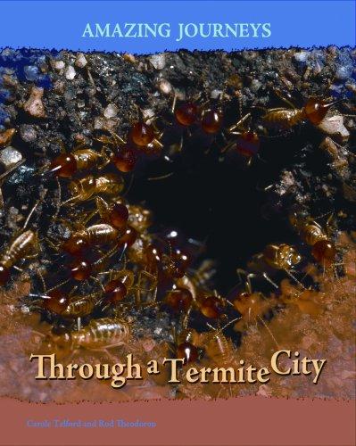Cover for Through a Termite City (Amazing Journeys/2nd Edition)