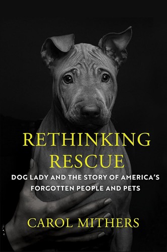 Cover for Rethinking Rescue