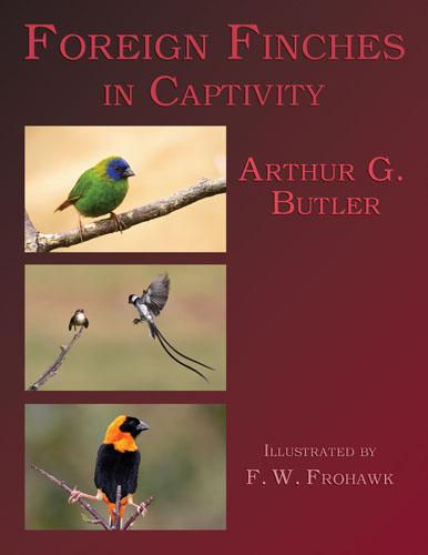 Cover for Foreign finches in captivity
