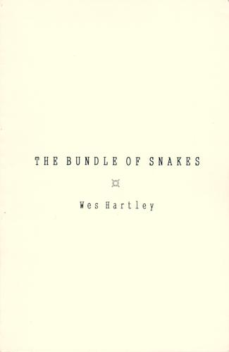 Cover for The Bundle of Snakes