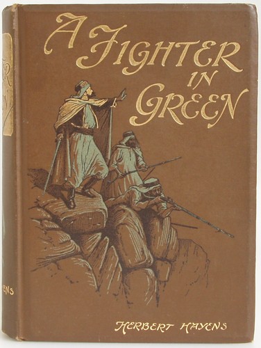 Cover for A fighter in green