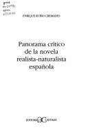 Cover for Panorama crítico de la novela realista-naturalista española