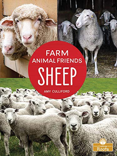 Cover for Sheep