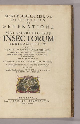 Cover for Mariæ Sibillæ Merian Dissertatio de generatione et metamorphosibus insectorum Surinamensium