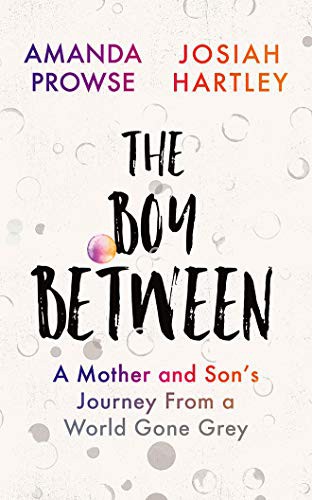 Cover for The Boy Between
