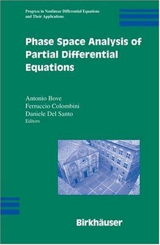 Cover for Phase Space Analysis of Partial Differential Equations (Progress in Nonlinear Differential Equations and Their Applications)