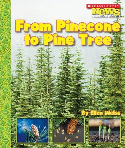 Cover for From Pinecone to Pine Tree