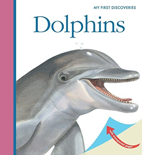 Cover for Dolphins