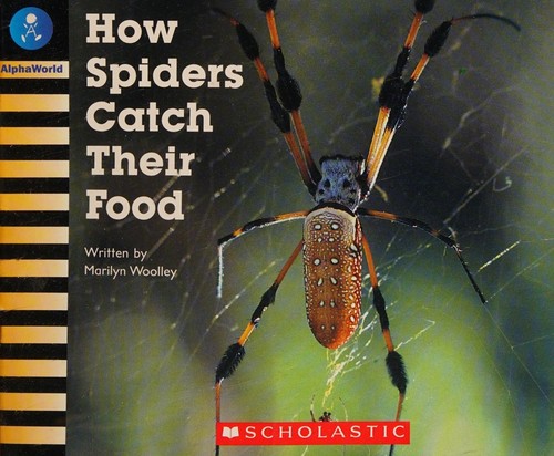 Cover for How Spiders Catch Their Food