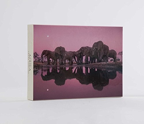 Cover for Into Africa