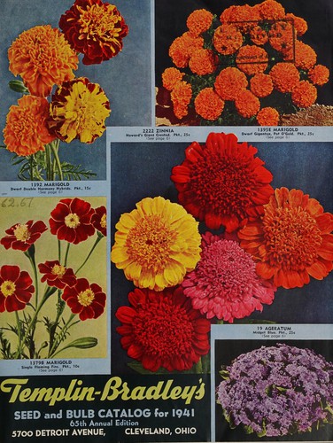 Cover for Templin-Bradley's seed and bulb catalog for 1941