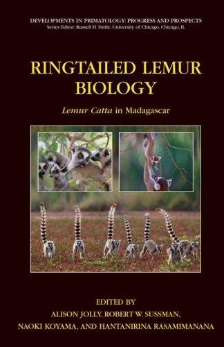 Cover for Ringtailed Lemur Biology: Lemur catta in Madagascar (Developments in Primatology: Progress and Prospects)