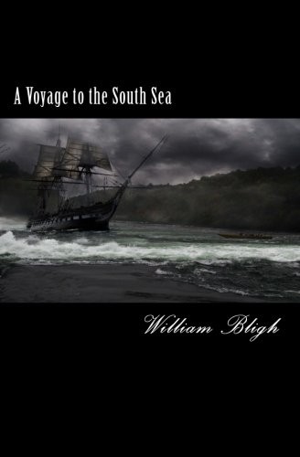 Cover for A Voyage to the South Sea