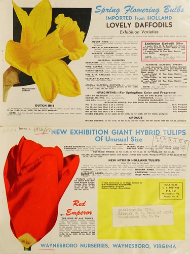 Cover for Plant and grow your own fruit