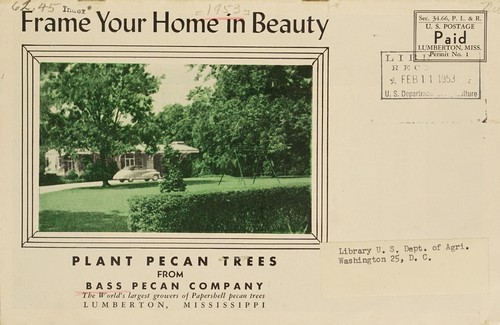 Cover for Frame your home in beauty