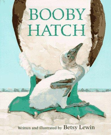 Cover for Booby hatch