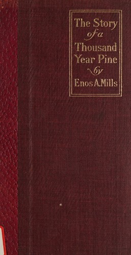 Cover for The story of a thousand-year pine