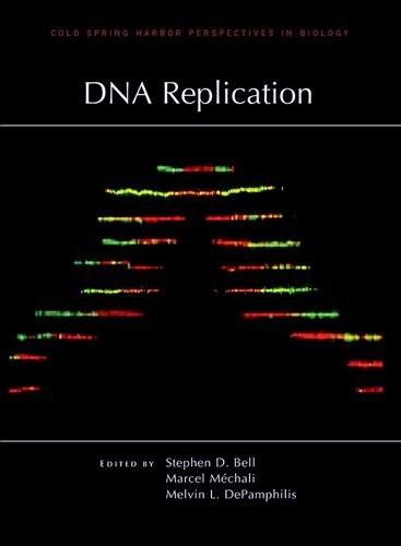 Cover for DNA Replication