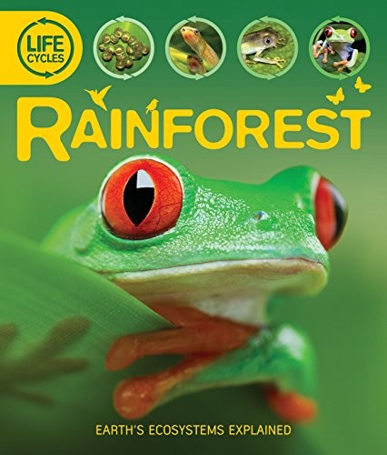 Cover for Rainforest
