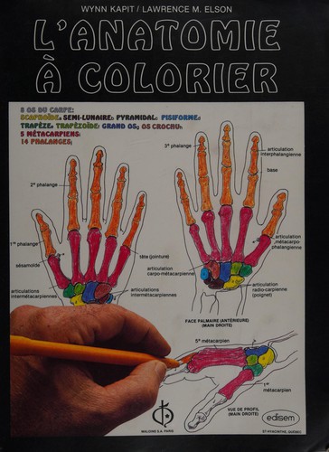 Cover for L' anatomie à colorier