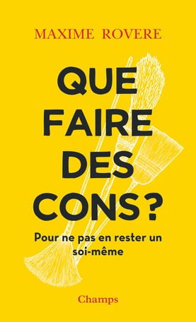 Cover for Que faire des cons ?