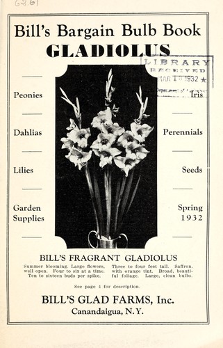 Cover for Bill's bargain bulb book