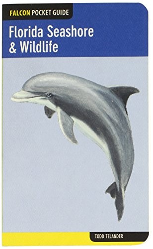 Cover for Falcon pocket guide