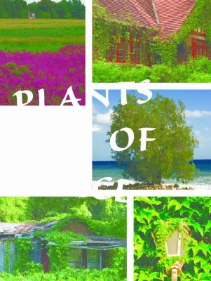 Cover for Plants Out of Place
            
                Lets Explore Science