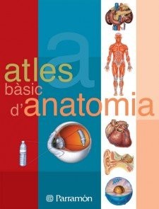 Cover for Atles bàsic d'Anatomia