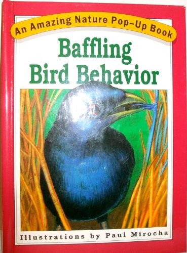 Cover for Baffling Bird Behavior