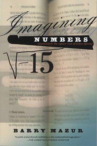 Cover for Imagining Numbers